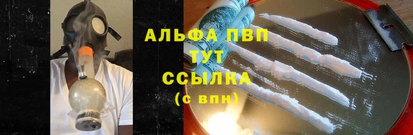 apvp Валдай