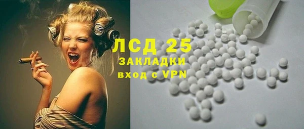 эйфоретик Баксан