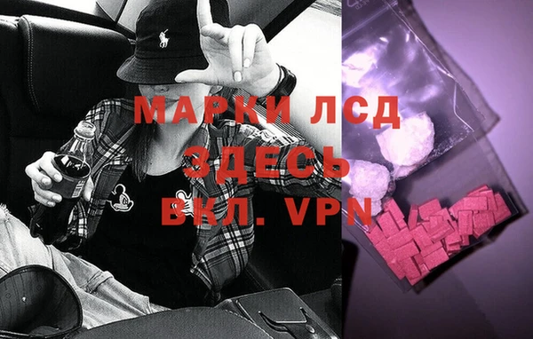 эйфоретик Баксан