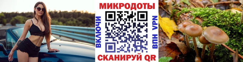 что такое   Бор  Псилоцибиновые грибы Magic Shrooms 